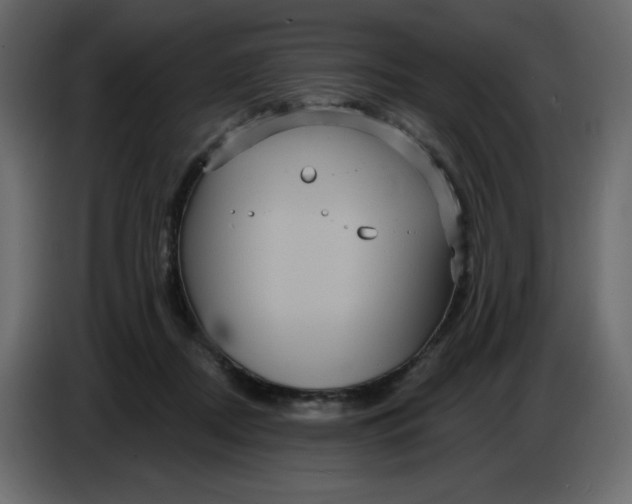 X0000086730362200705041352