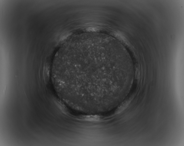 X0000086730363200705041352