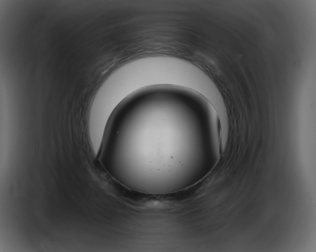 X0000086730364200705041352