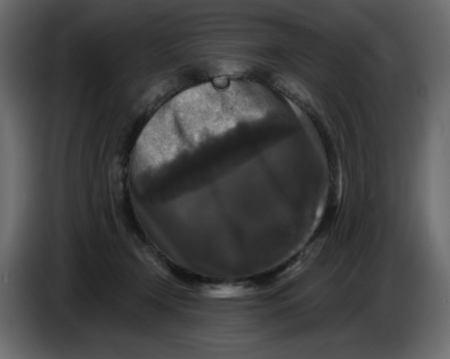 X0000086730366200705041352