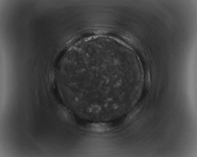 X0000086730367200705041352
