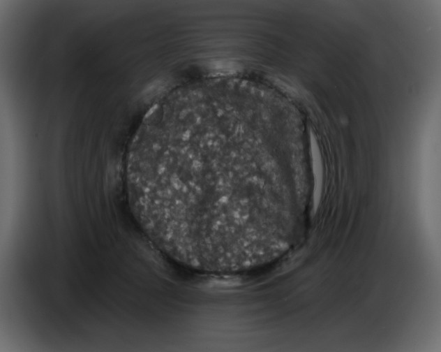 X0000086730369200705041352