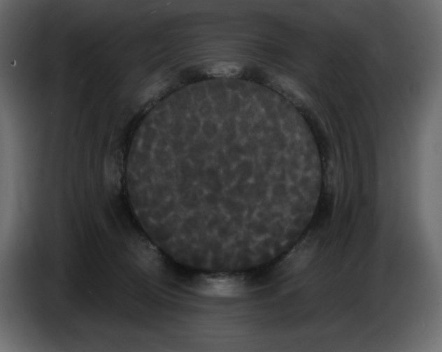 X0000086730370200705041352
