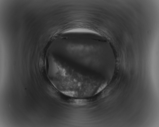 X0000086730371200705041352