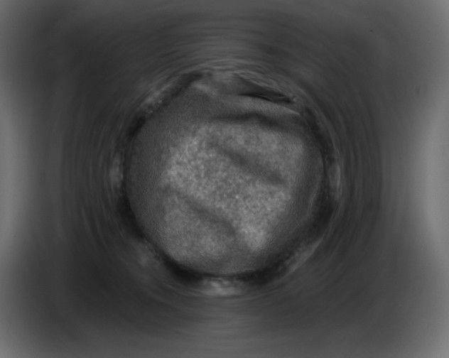 X0000086730372200705041352