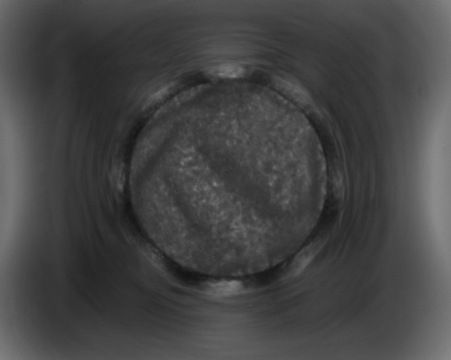 X0000086730374200705041352