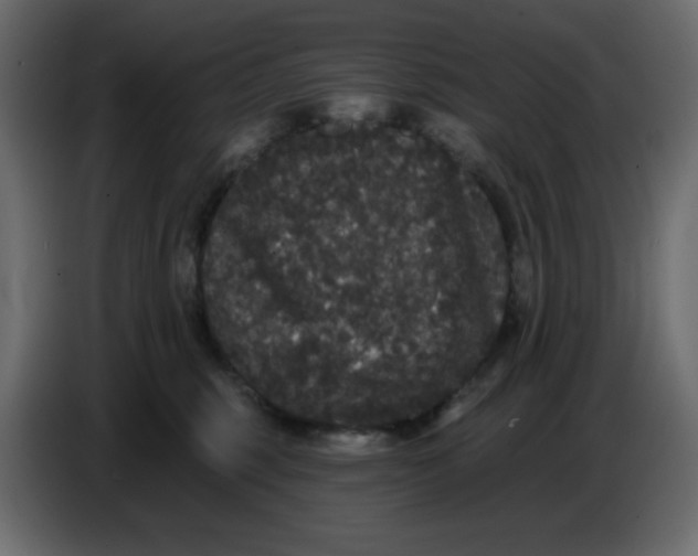 X0000086730375200705041352