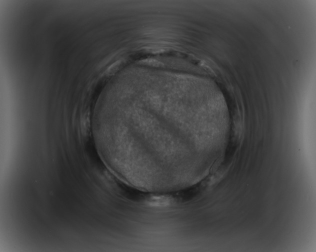 X0000086730376200705041352