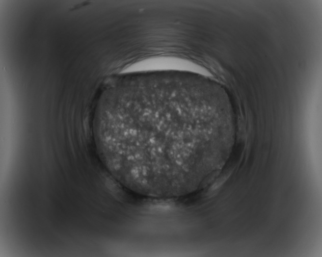 X0000086730377200705041352