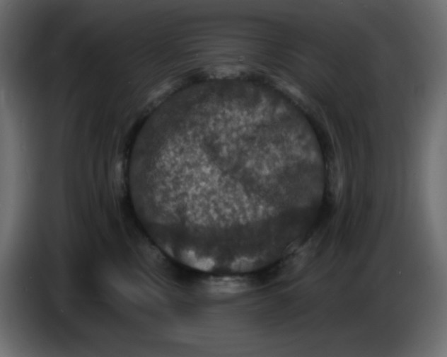 X0000086730378200705041352