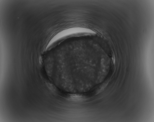 X0000086730380200705041352