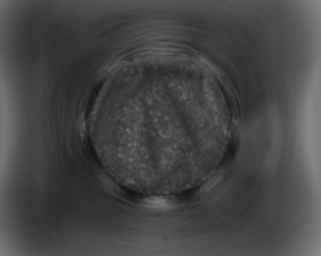 X0000086730381200705041352