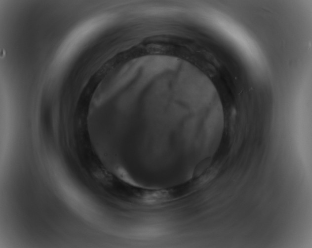 X0000086730382200705041352