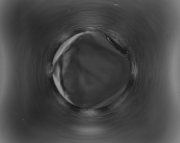 X0000086730383200705041352