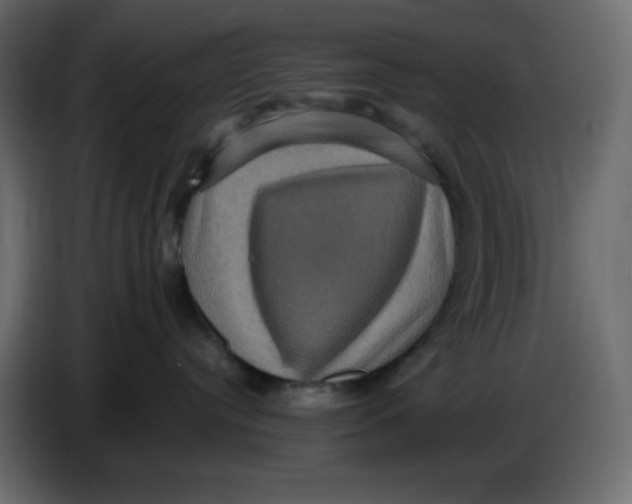 X0000086730384200705041352