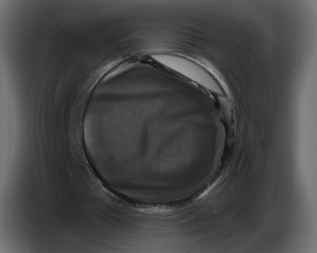 X0000086730385200705041352