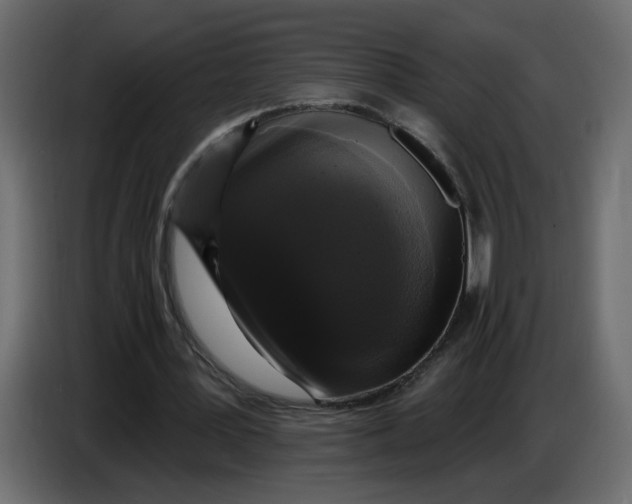 X0000086730387200705041352