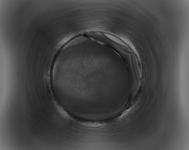 X0000086730389200705041352