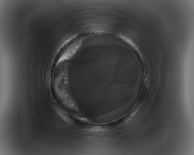 X0000086730390200705041352