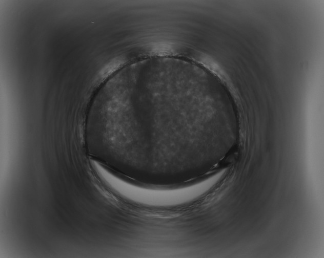X0000086730393200705041352