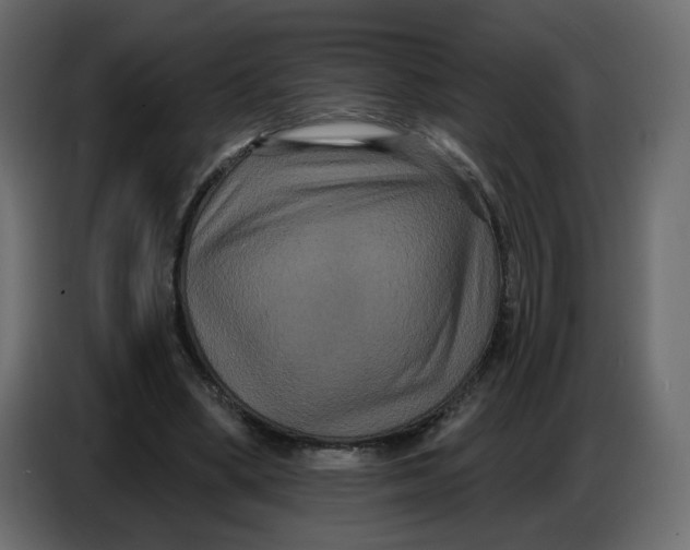 X0000086730394200705041352