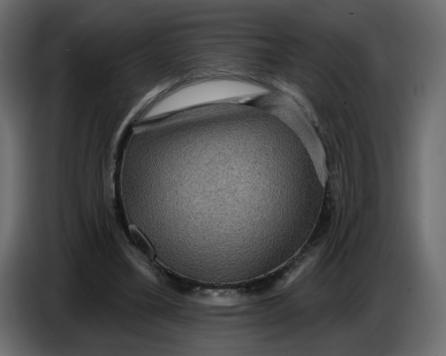X0000086730395200705041352