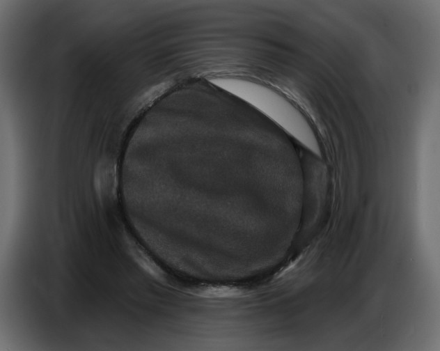 X0000086730397200705041352