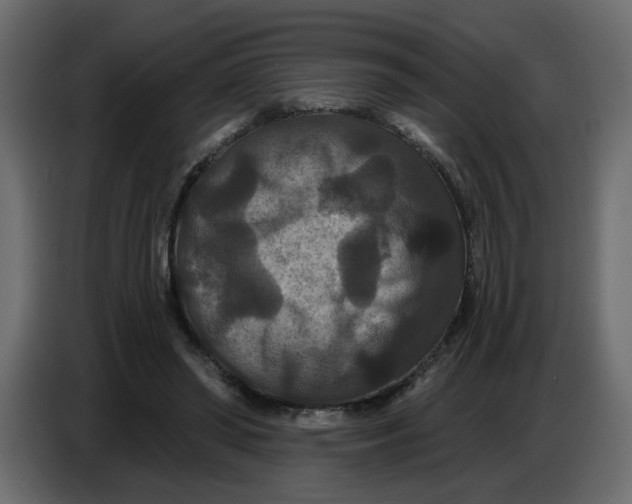 X0000086730398200705041352