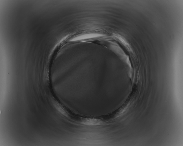 X0000086730399200705041352