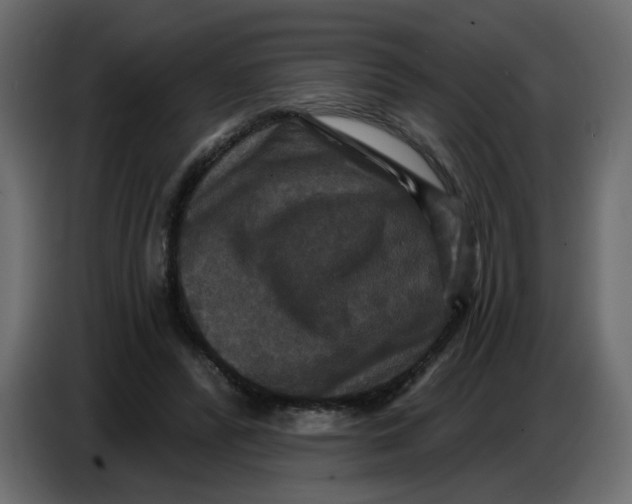 X0000086730400200705041352