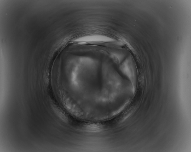 X0000086730402200705041352