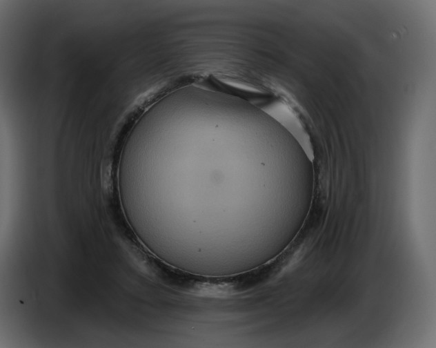 X0000086730403200705041352