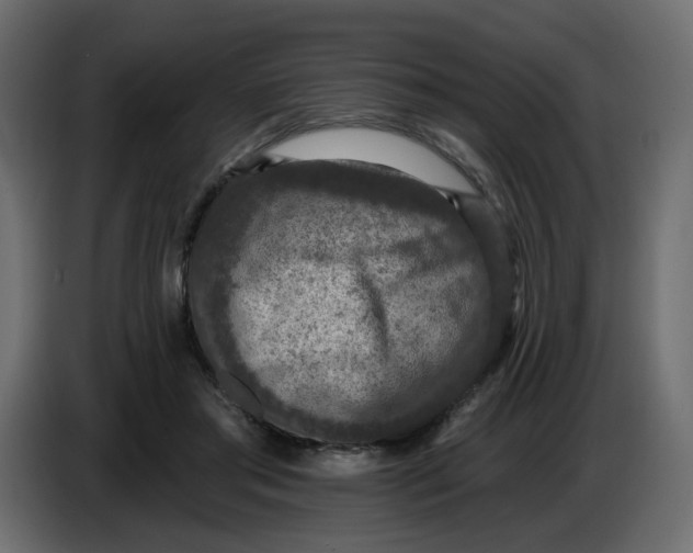 X0000086730405200705041352
