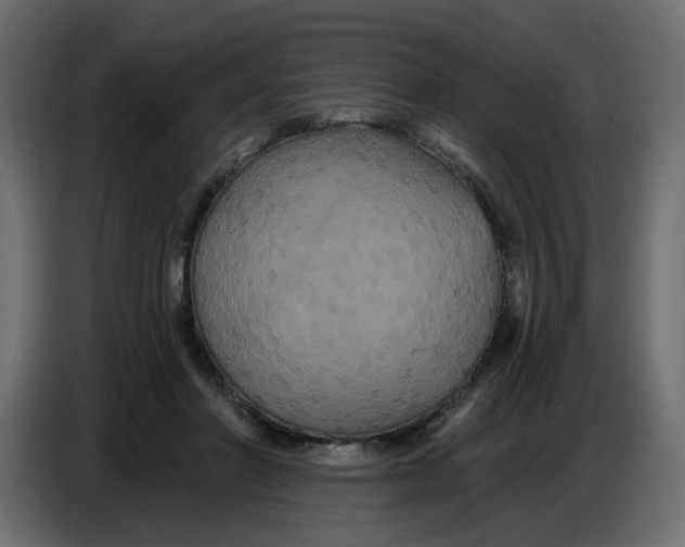 X0000086730406200705041352