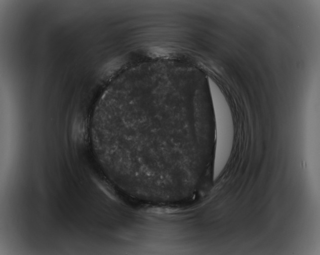 X0000086730408200705041351