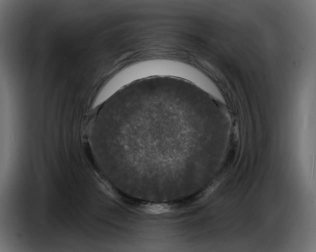 X0000086730409200705041351