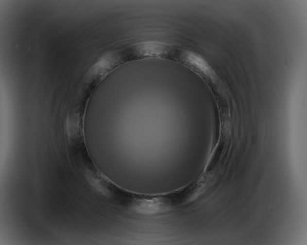 X0000086730411200705041351