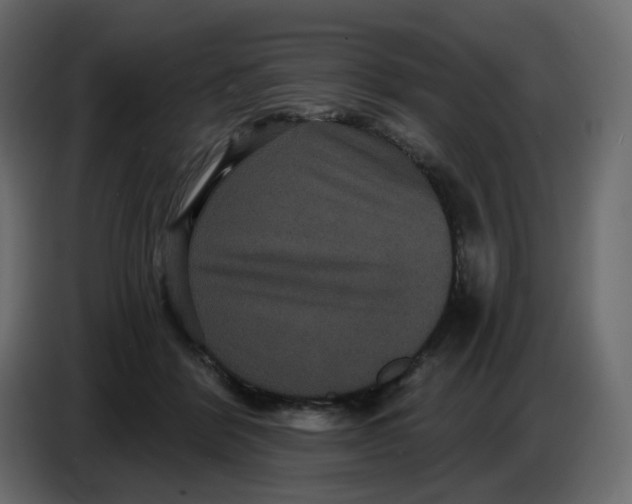 X0000086730412200705041351