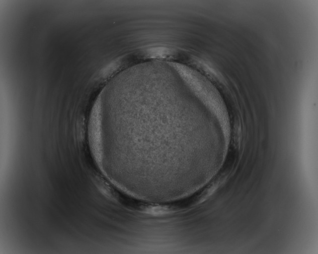 X0000086730413200705041351