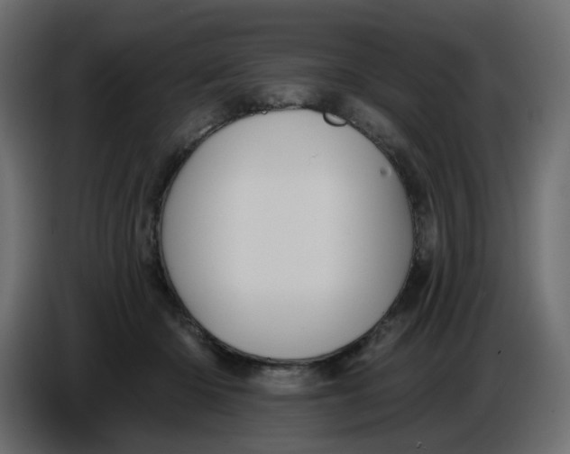 X0000086730414200705041351