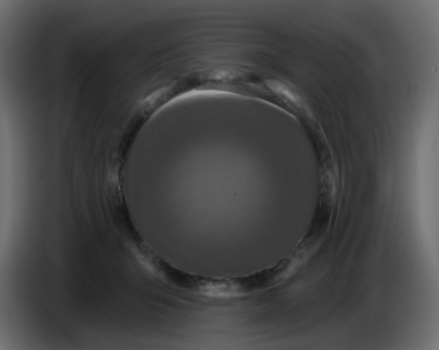 X0000086730415200705041351