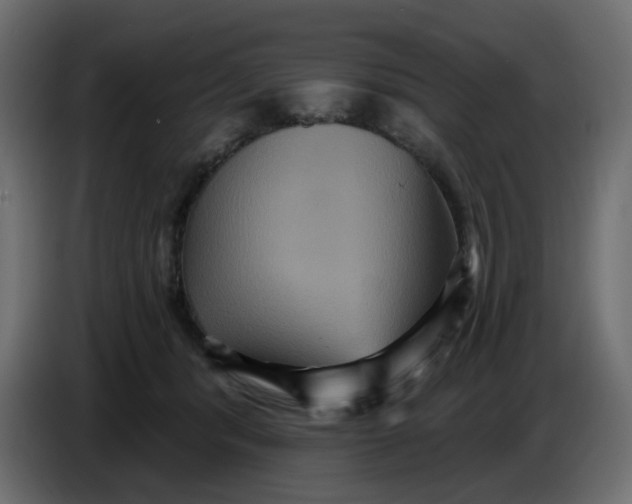 X0000086730416200705041351