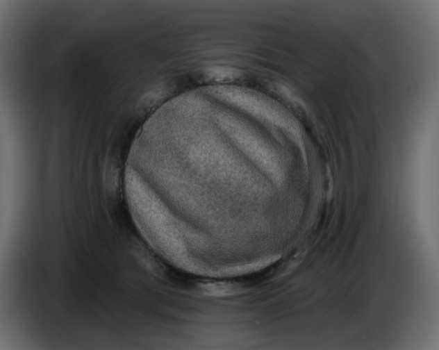 X0000086730417200705041351