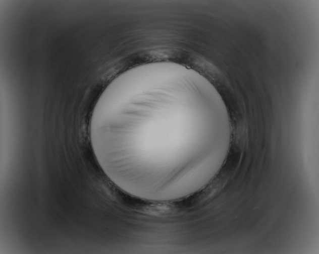 X0000086730418200705041351