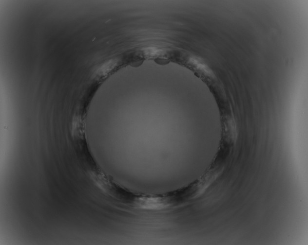 X0000086730419200705041351