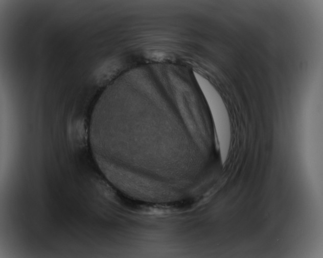 X0000086730420200705041351