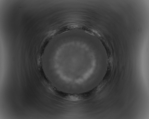 X0000086730423200705041351