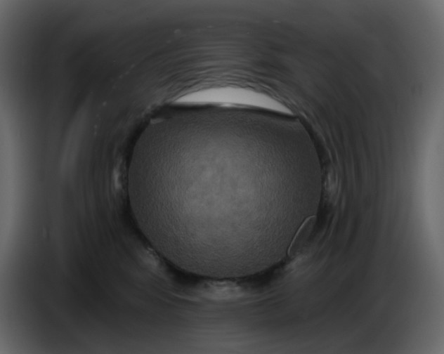 X0000086730424200705041351