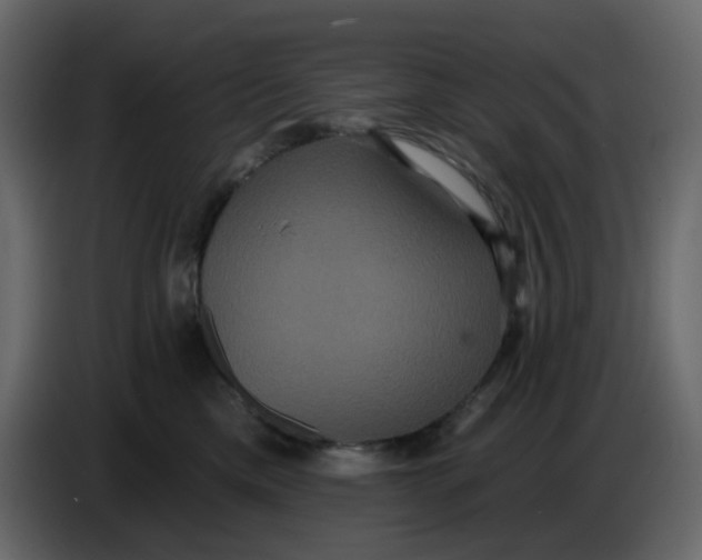 X0000086730425200705041351