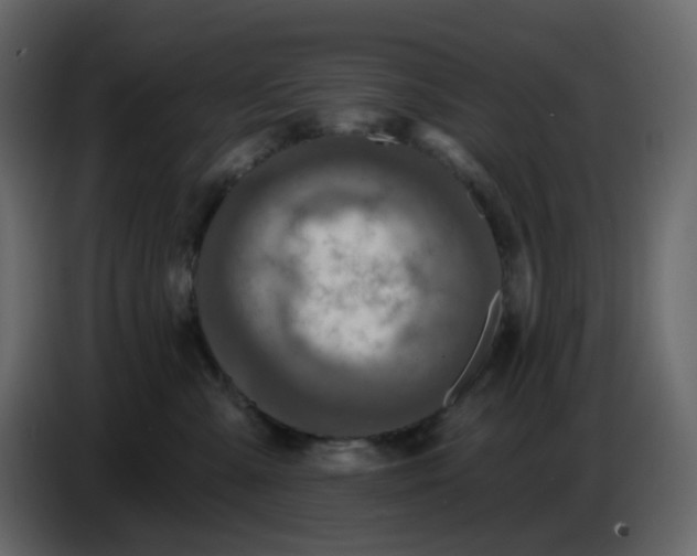 X0000086730427200705041351